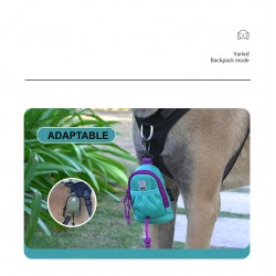 Boutique officielle TRUELOVE - Sacoche à Friandise chien Truelove Club