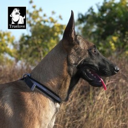 Boutique Officielle TRUELOVE - Colliers chien réfléchissants Truelove FOX