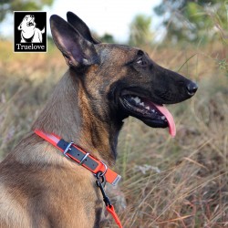 Boutique Officielle TRUELOVE - Colliers chien réfléchissants Truelove FOX