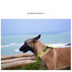 Boutique Officielle TRUELOVE - Colliers chien réfléchissants Truelove FOX