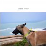 Boutique Officielle TRUELOVE - Colliers chien réfléchissants Truelove FOX