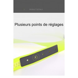 Boutique Officielle TRUELOVE - Colliers chien réfléchissants Truelove FOX