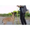 Boutique Officielle TRUELOVE - Laisses pour chien Truelove FOX