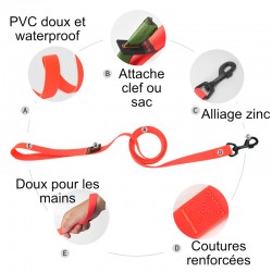Boutique Officielle TRUELOVE - Laisses pour chien Truelove FOX