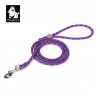 Laisse chien Truelove "Kit main libre"