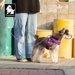 Laisse chien Truelove "Kit main libre"