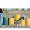 Laisse chien Truelove "Kit main libre"