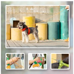 Laisse chien Truelove "Kit main libre"