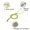 Laisse chien Truelove "Kit main libre"