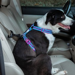 Boutique Officielle TRUELOVE - Système de sécurité attache chien voiture  Truelove ceinture de sécurité