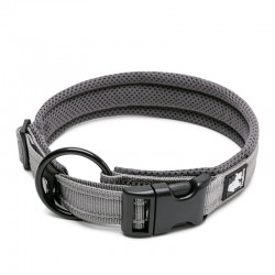 Boutique Officielle TRUELOVE - Colliers chien réfléchissants Truelove FLEX
