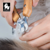 Boutique TRUELOVE - Accessoires, laisses, harnais et colliers pour chien - Revendeur agréé