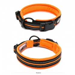 Boutique Officielle TRUELOVE - Colliers chien réfléchissants Truelove FLEX