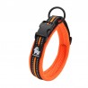 Boutique Officielle TRUELOVE - Colliers chien réfléchissants Truelove FLEX