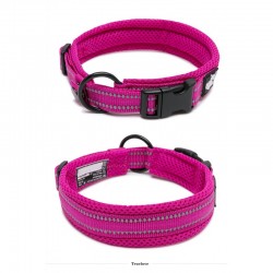 Boutique Officielle TRUELOVE - Colliers chien réfléchissants Truelove FLEX