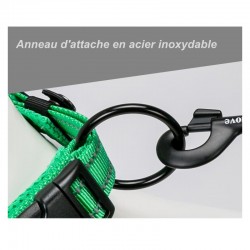 Boutique Officielle TRUELOVE - Colliers chien réfléchissants Truelove FLEX