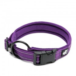 Boutique Officielle TRUELOVE - Colliers chien réfléchissants Truelove FLEX