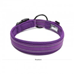 Boutique Officielle TRUELOVE - Colliers chien réfléchissants Truelove FLEX