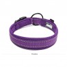 Boutique Officielle TRUELOVE - Colliers chien réfléchissants Truelove FLEX