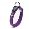Boutique Officielle TRUELOVE - Colliers chien réfléchissants Truelove FLEX