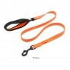 Boutique Officielle TRUELOVE - Laisses chien forte traction Truelove PULL