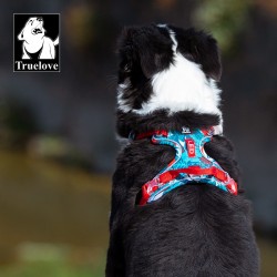 Truelove Country PLUS + Harnais chien dressage anti traction & promenade -  La Gamelle