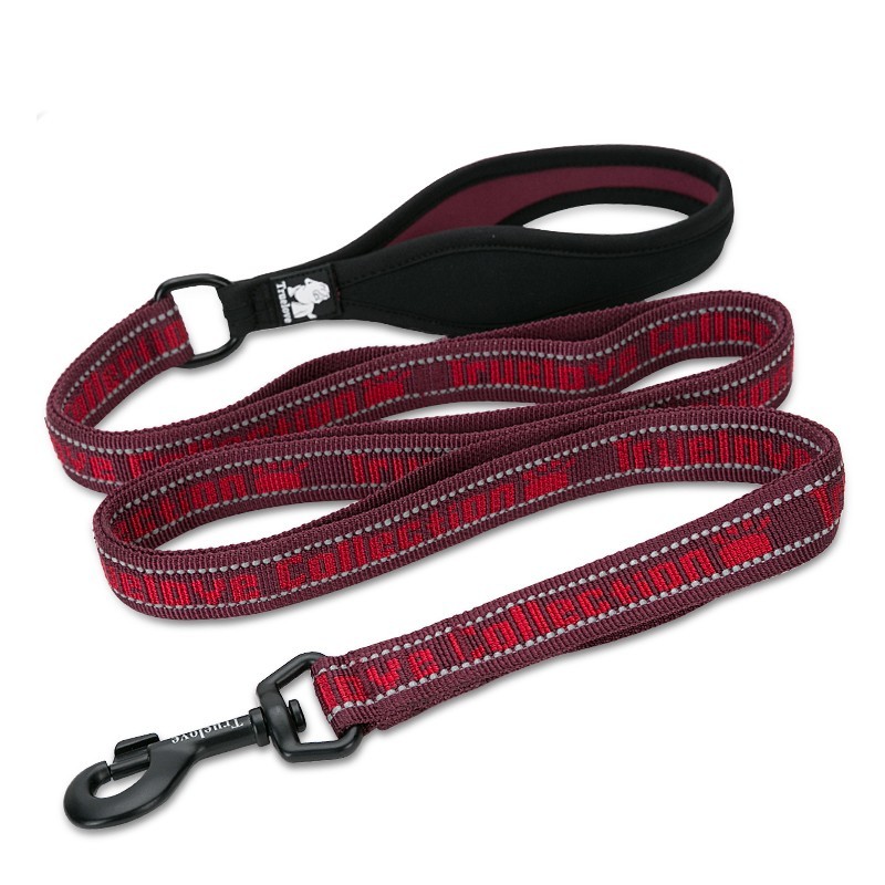 Boutique officielle TRUELOVE - Laisse chien forte traction Truelove PULL PLUS +