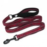 Boutique officielle TRUELOVE - Laisse chien forte traction Truelove PULL PLUS +