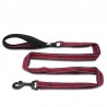 Boutique officielle TRUELOVE - Laisse chien forte traction Truelove PULL PLUS +