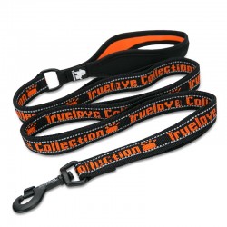 Boutique officielle TRUELOVE - Laisse chien forte traction Truelove PULL PLUS +