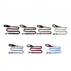 Boutique officielle TRUELOVE - Laisse chien forte traction Truelove PULL PLUS +