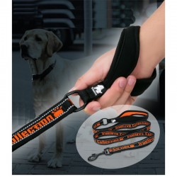 Boutique officielle TRUELOVE - Laisse chien forte traction Truelove PULL PLUS +