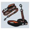 Boutique officielle TRUELOVE - Laisse chien forte traction Truelove PULL PLUS +