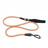 Boutique Officielle TRUELOVE - Laisse chien Truelove RUNNING