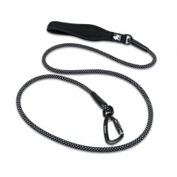 Boutique Officielle TRUELOVE - Laisse chien Truelove RUNNING
