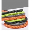 Boutique Officielle TRUELOVE - Laisse chien Truelove RUNNING