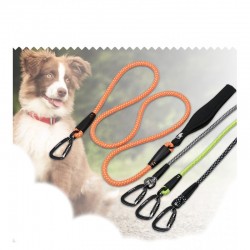 Boutique Officielle TRUELOVE - Laisse chien Truelove RUNNING