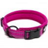 Boutique Officielle TRUELOVE - Colliers chien réfléchissants Truelove FLEX
