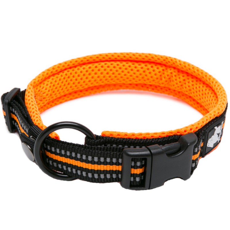Boutique Officielle TRUELOVE - Colliers chien réfléchissants Truelove FLEX