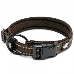 Boutique Officielle TRUELOVE - Colliers chien réfléchissants Truelove FLEX